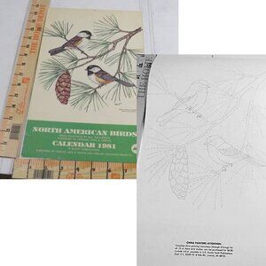 Bird Calendar W/ COLOR SHEET ON REVERSE SIDE Vintage 1981 Collectable LIKE NEW